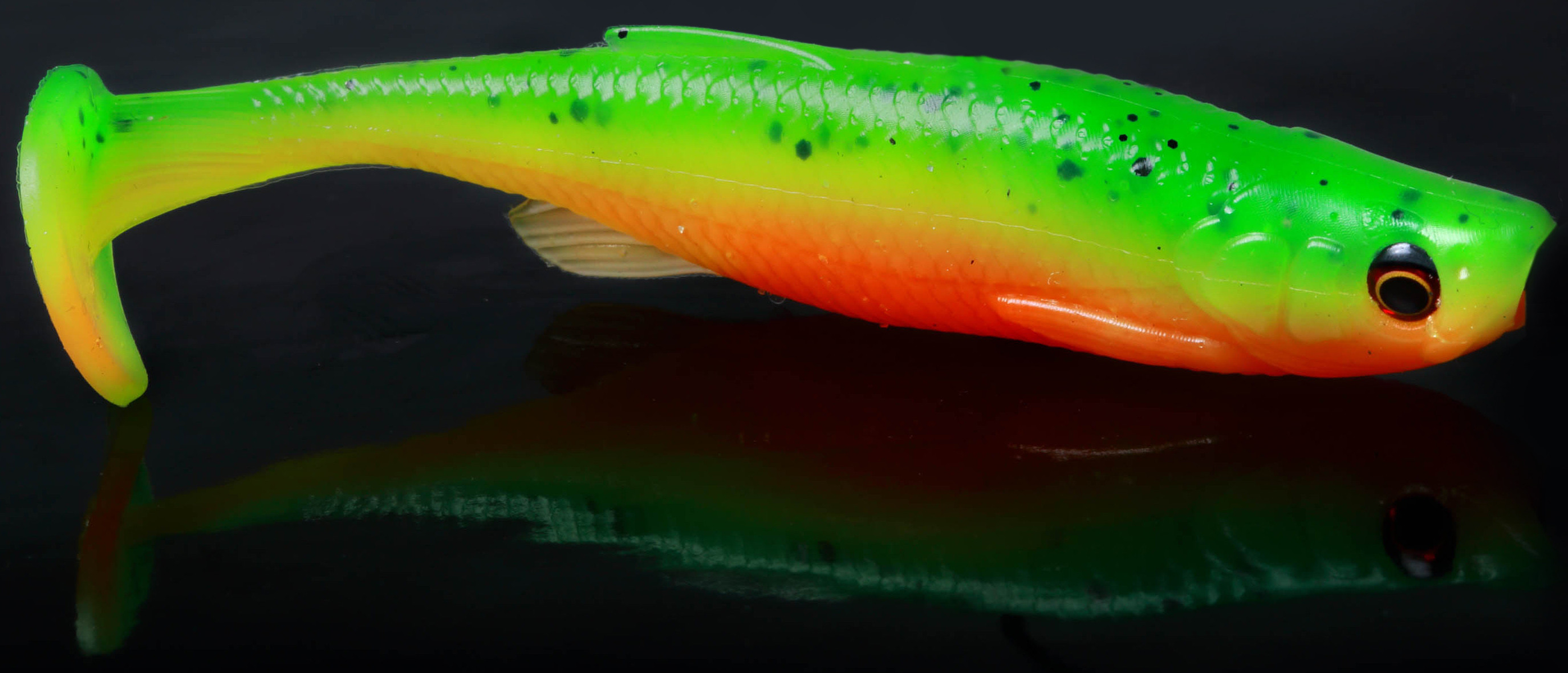 Guma Spinningowa Fat Minnow T-Tail w Akcji