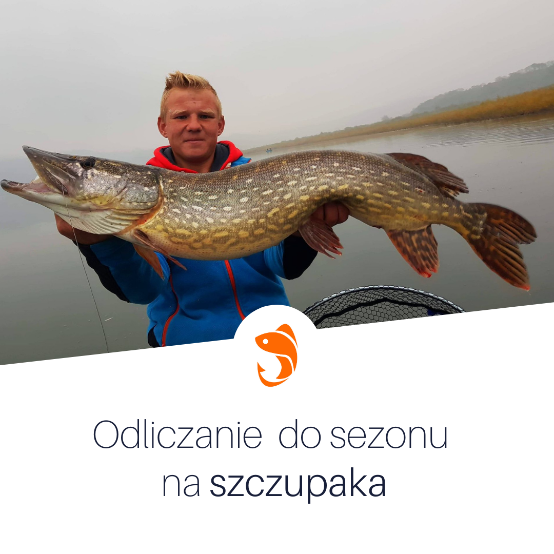 Odliczanie do sezonu na szczupaka