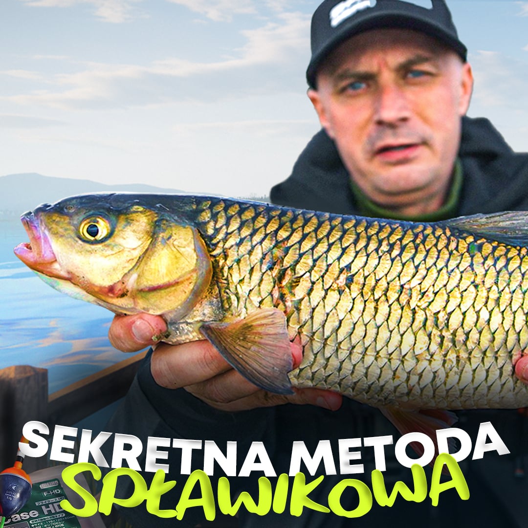 Przystawka Spławikowa na Rzece - Jak łowić na spławik? Poradnik wędkarski od Pawła Kukli