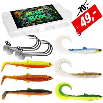 Mini BOX Perch 5