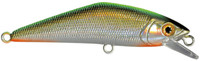 51 Green Yamame