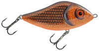 Copper Roach