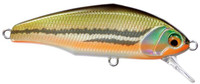 12 Dace