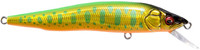 04 LZ Lime Back Gold OB