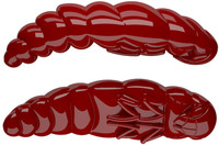 Czerwony