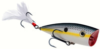 Sexy Shad