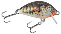 Holo Stickleback