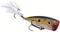 Clear Ghost Sexy Shad
