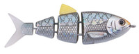 Black Back Herring