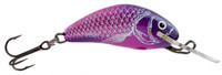 UV Purple