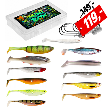 Mini BOX Zander 5