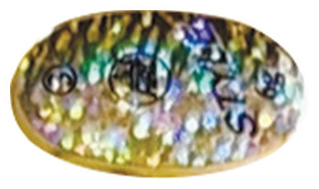 Obrotówka Mistrall Style