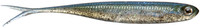 Reservoir Shad Abalone