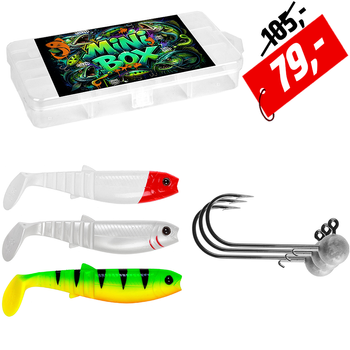 Mini BOX Catfish 1
