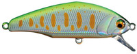 15 A Lime Chart Yamame Trout