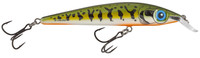 Breeding Stickleback