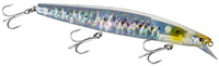 S Sardine