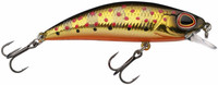 Golden Trout