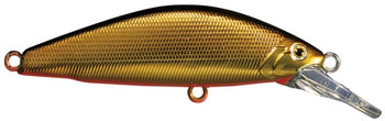 Wobler Smith D-Concept