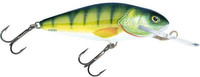 Perch