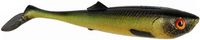 Tench