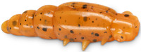 Gepard