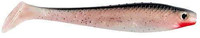 Red Shiner