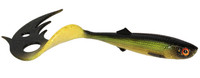 Tench
