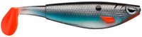 Blue Shiner