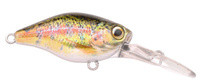Baby Trout