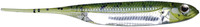 Watermelon Silver