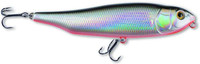 Silver Shiner