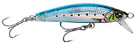 Ghost Sardine PHP