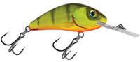 Hot Perch
