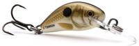 Pearl Shad