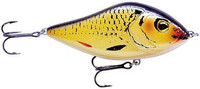 Crucian
