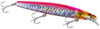 R Sardine