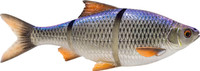 Blue Roach
