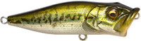 GG Bass