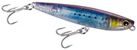Sardine