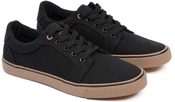 Trampki Fox Canvas Shoe