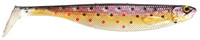 Brook Trout