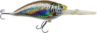 Silver Fish