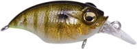 Glx Galaxy Gill