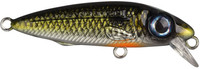 Shad