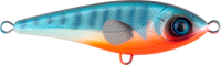 C605F
