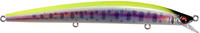 03 LZ Chart Back Yamame