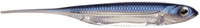 Problue Silver