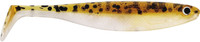 Baitfish