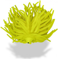 Żółty